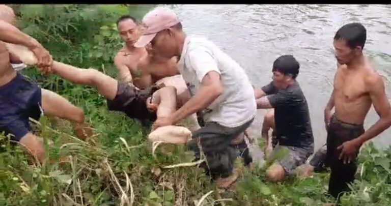 WhatsApp Image 2023-07-23 at 00.38.21