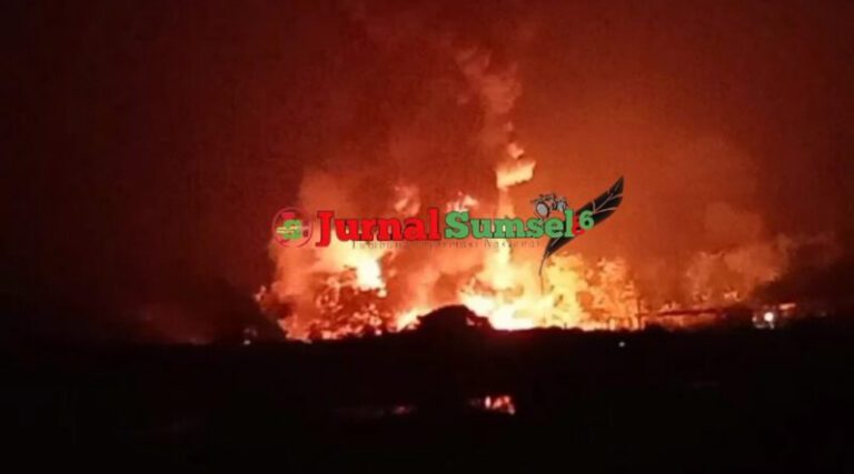 WhatsApp Image 2023-07-29 at 06.51.26