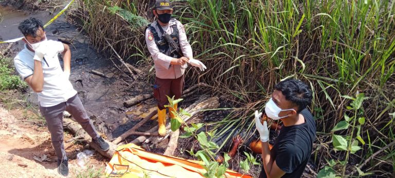 WhatsApp Image 2023-07-30 at 05.59.44