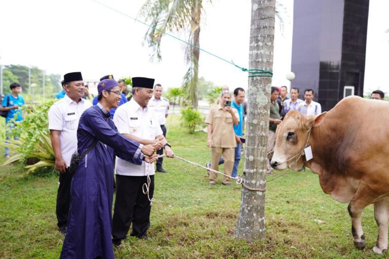 IMG-20230627-WA0097 (1)