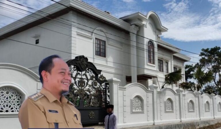 WhatsApp Image 2023-08-01 at 17.14.11