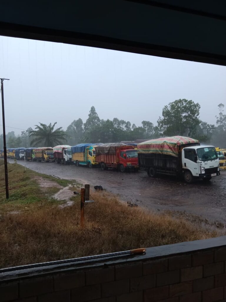 WhatsApp Image 2023-08-02 at 06.53.20