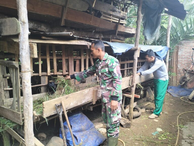 WhatsApp Image 2023-08-02 at 23.48.31