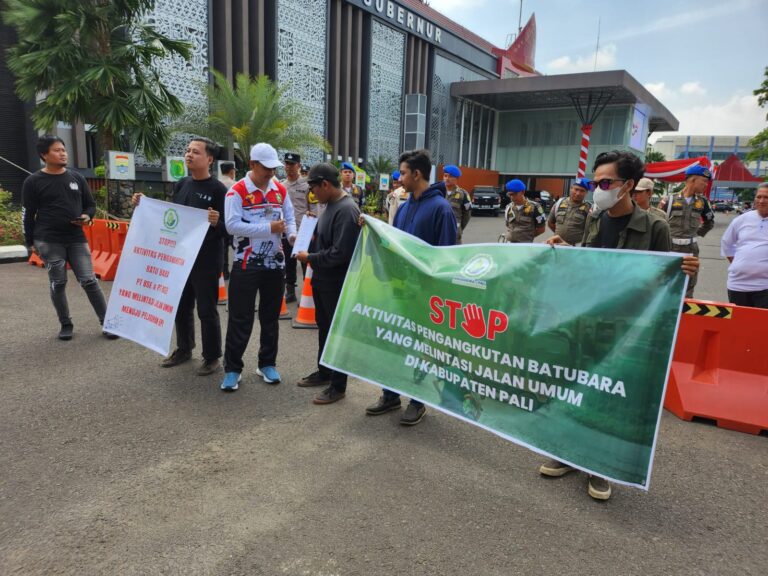 WhatsApp Image 2023-08-11 at 16.22.13