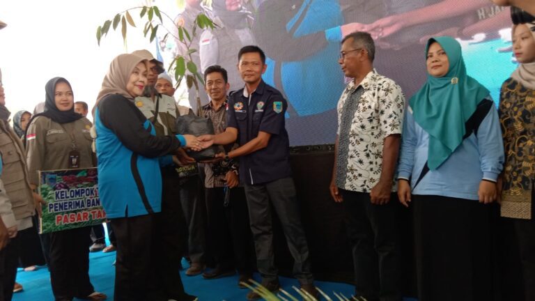 WhatsApp Image 2023-08-29 at 03.11.10