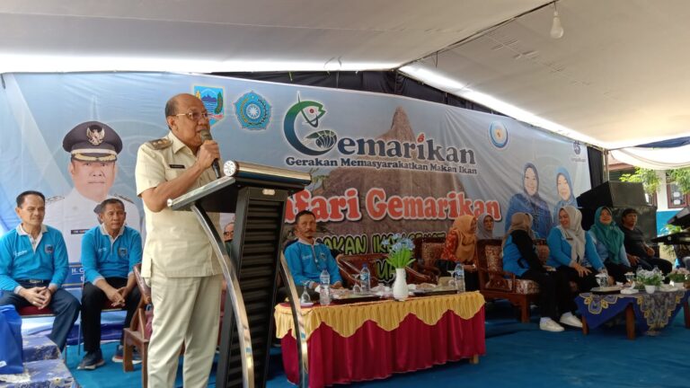 WhatsApp Image 2023-08-29 at 03.35.14