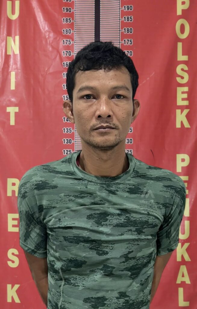 WhatsApp Image 2023-08-30 at 05.38.48