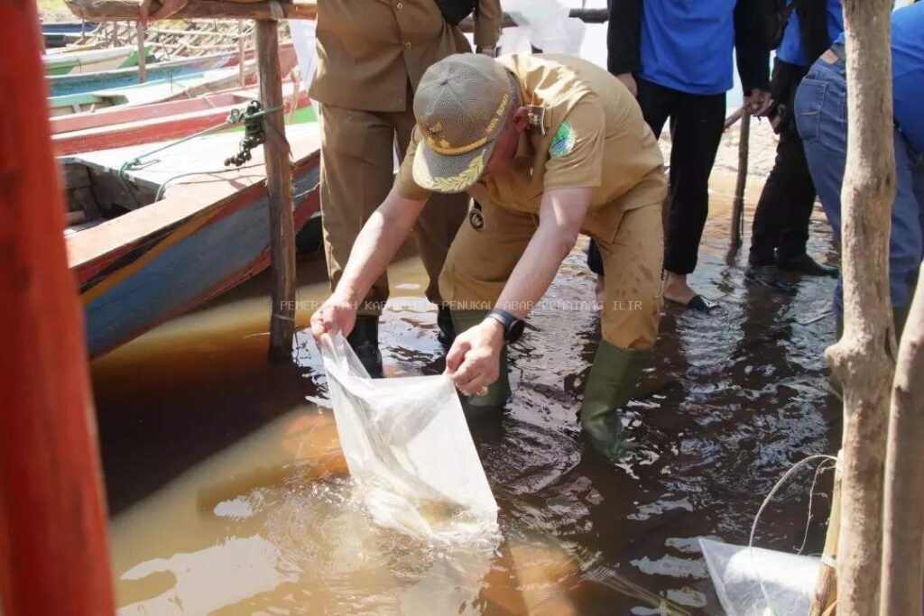 WhatsApp Image 2023-09-01 at 11.26.41