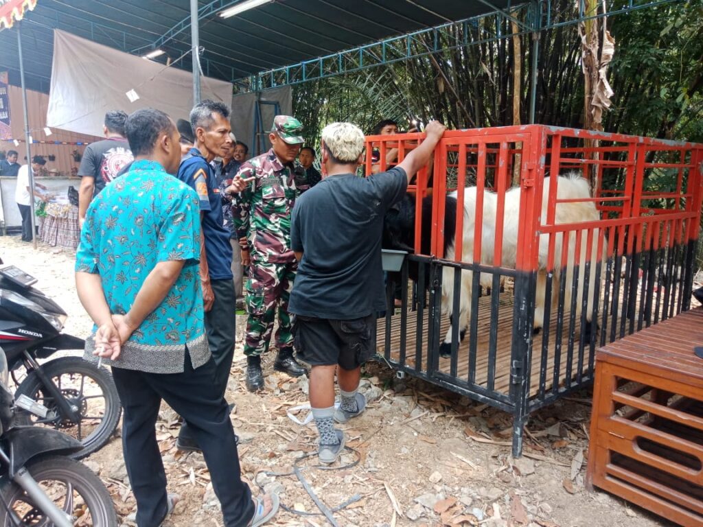 WhatsApp Image 2023-09-22 at 12.46.44