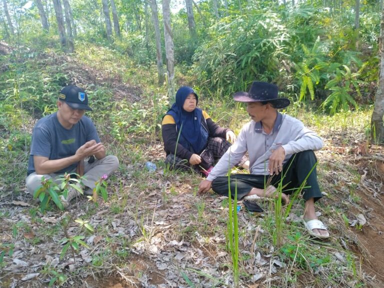 WhatsApp Image 2023-10-29 at 07.13.34