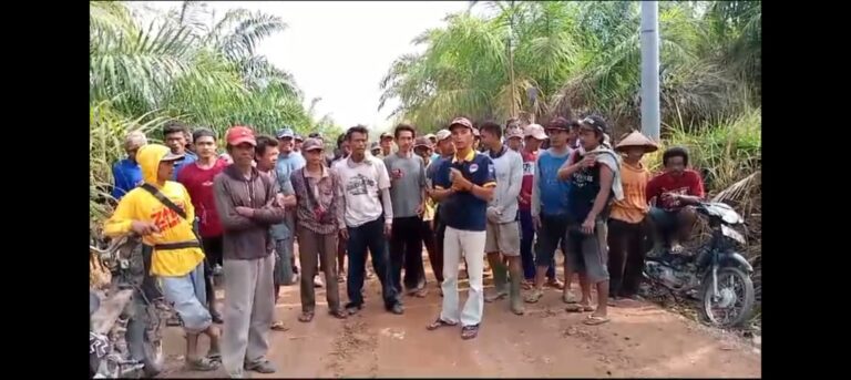 WhatsApp Image 2023-11-01 at 19.20.24