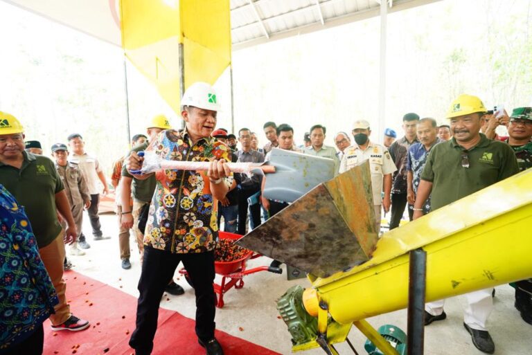 WhatsApp Image 2023-11-02 at 02.43.51