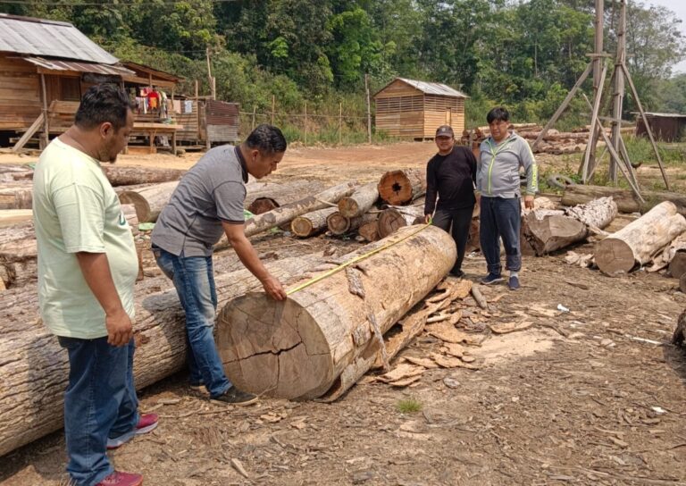 IMG_20231102_135814 (1)