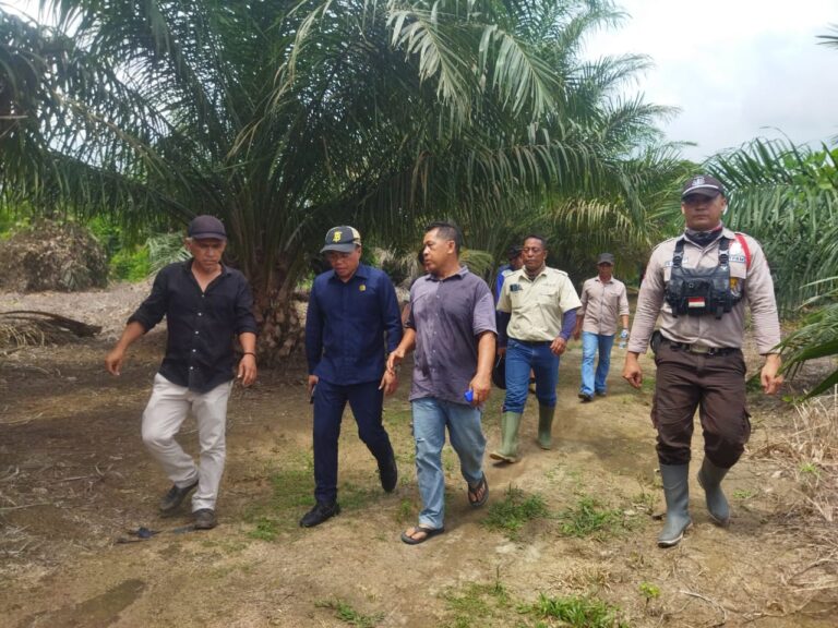 WhatsApp Image 2023-12-18 at 21.25.48