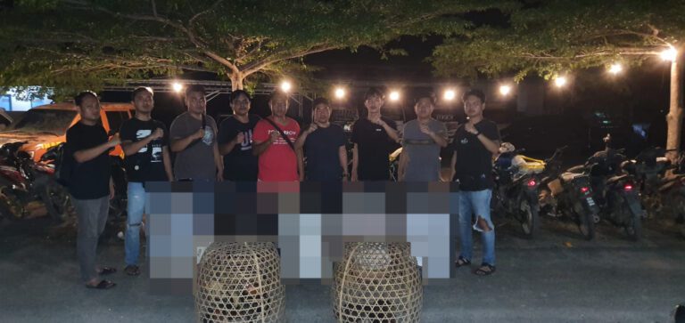 WhatsApp Image 2023-12-31 at 08.27.34