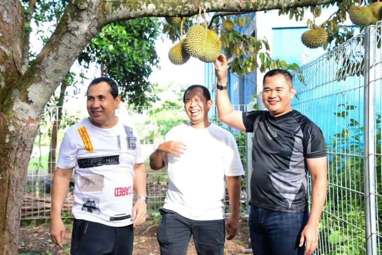 WhatsApp Image 2024-01-02 at 03.00.12