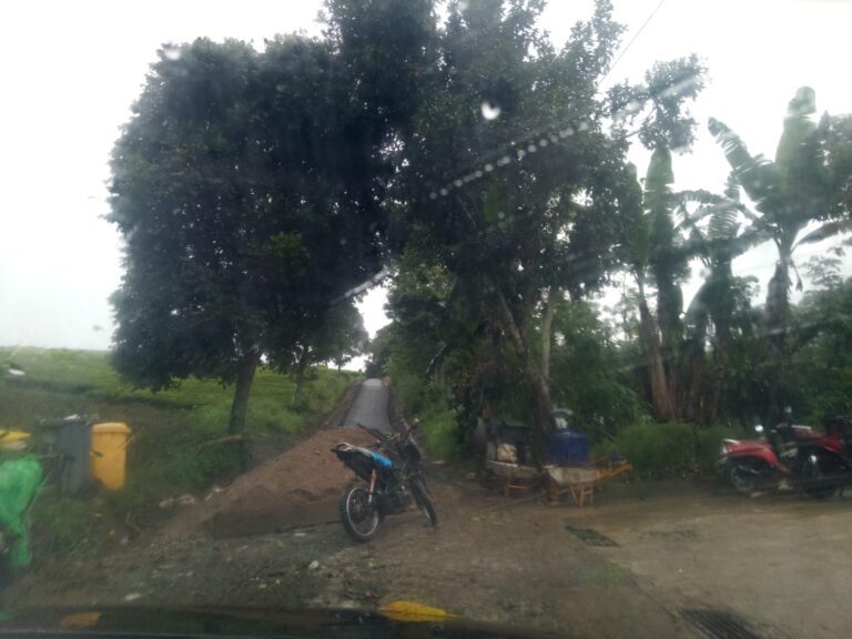 WhatsApp Image 2024-01-11 at 22.02.48