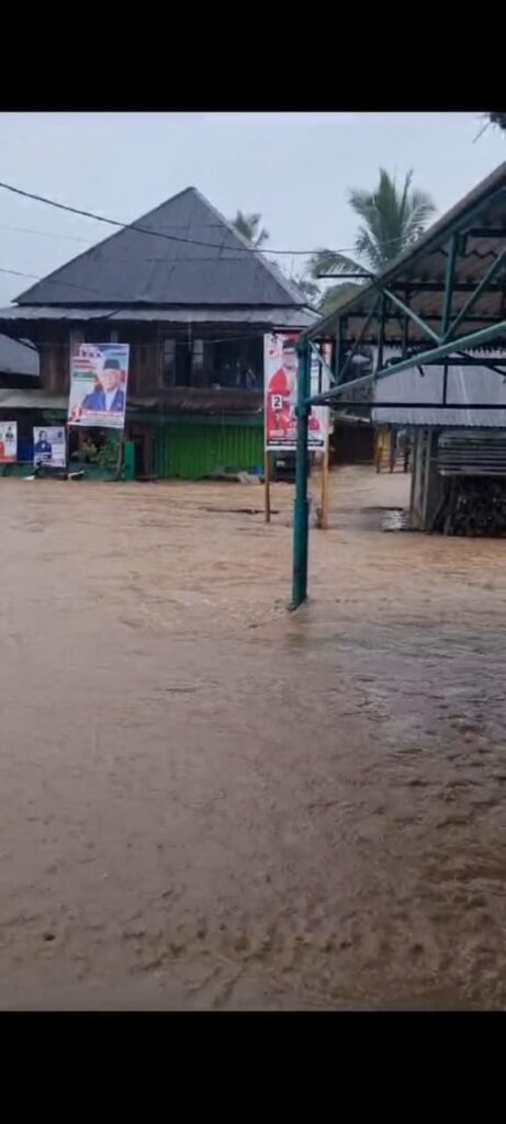 WhatsApp Image 2024-01-26 at 18.45.05