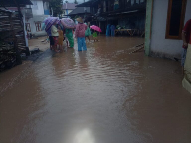 WhatsApp Image 2024-01-27 at 07.28.40(2)