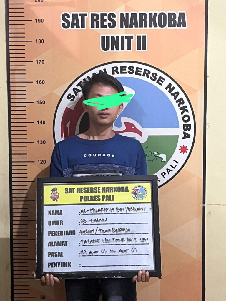 WhatsApp Image 2024-02-03 at 20.37.29