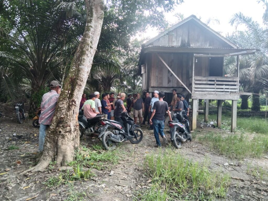 WhatsApp Image 2024-02-08 at 19.11.07