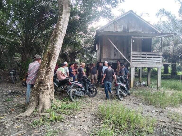 WhatsApp Image 2024-02-08 at 19.11.07