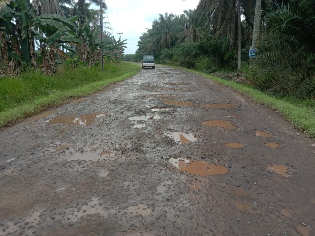 WhatsApp Image 2024-02-09 at 01.18.46