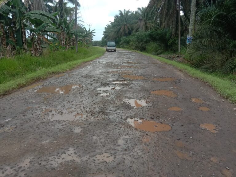 WhatsApp Image 2024-02-09 at 01.18.46