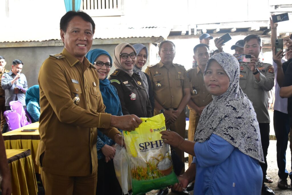 WhatsApp Image 2024-02-12 at 16.36.46