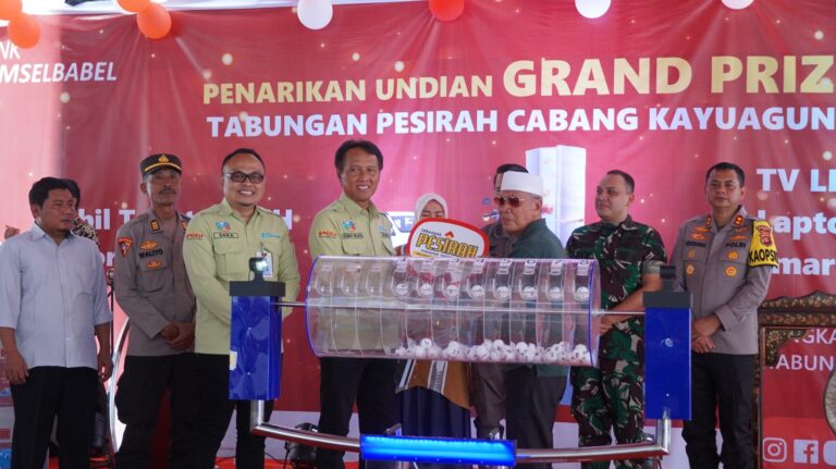 WhatsApp Image 2024-02-22 at 05.00.47