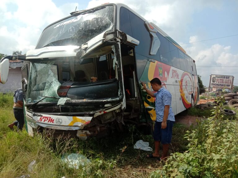 WhatsApp Image 2024-02-27 at 03.43.58