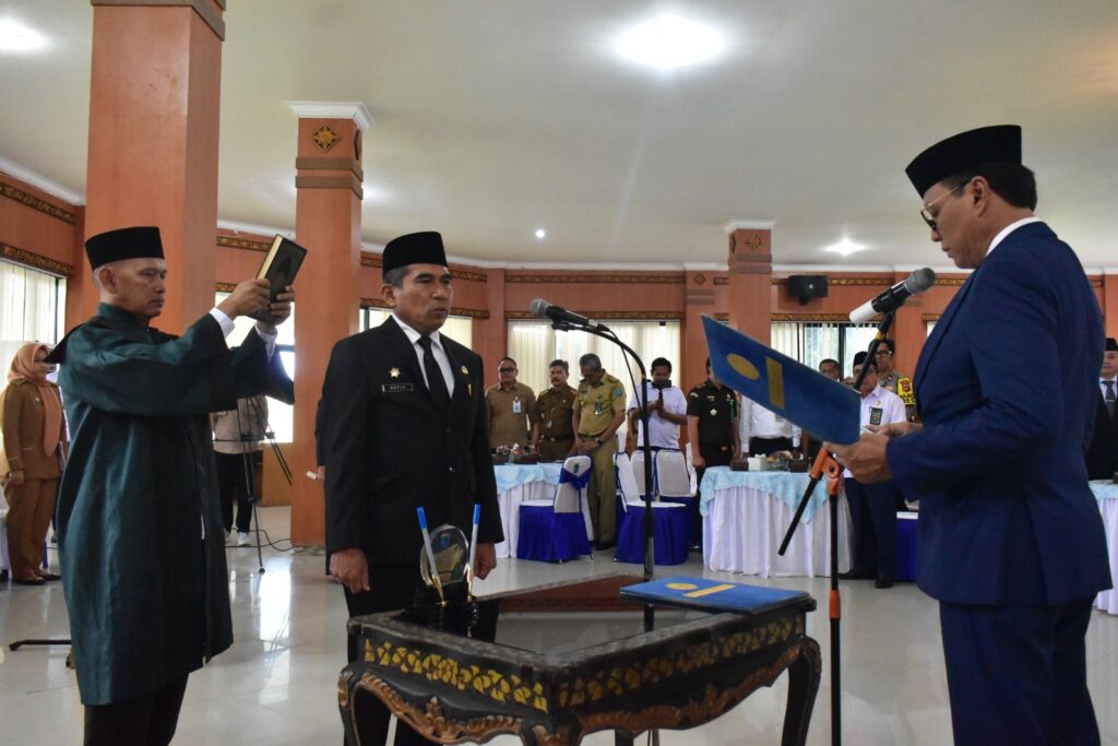 WhatsApp Image 2024-03-04 at 04.01.23