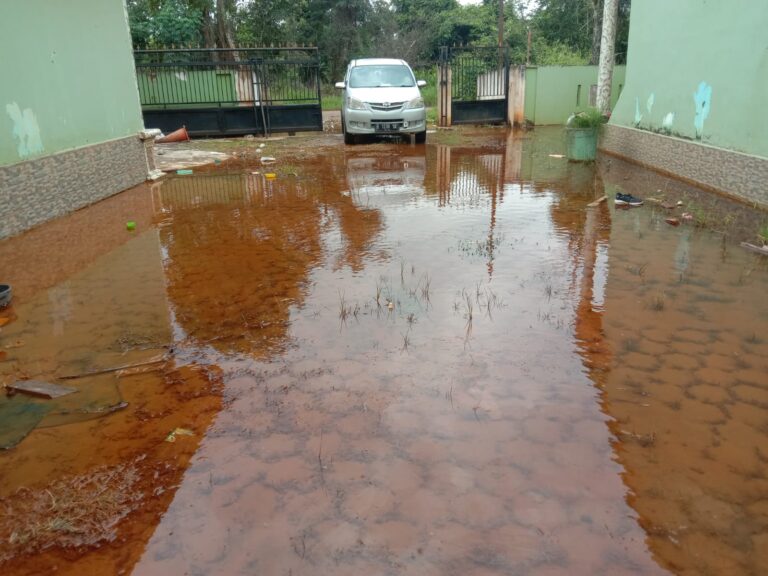 WhatsApp Image 2024-03-13 at 1.42.49 AM (1)