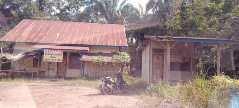 WhatsApp Image 2024-03-17 at 3.34.42 AM