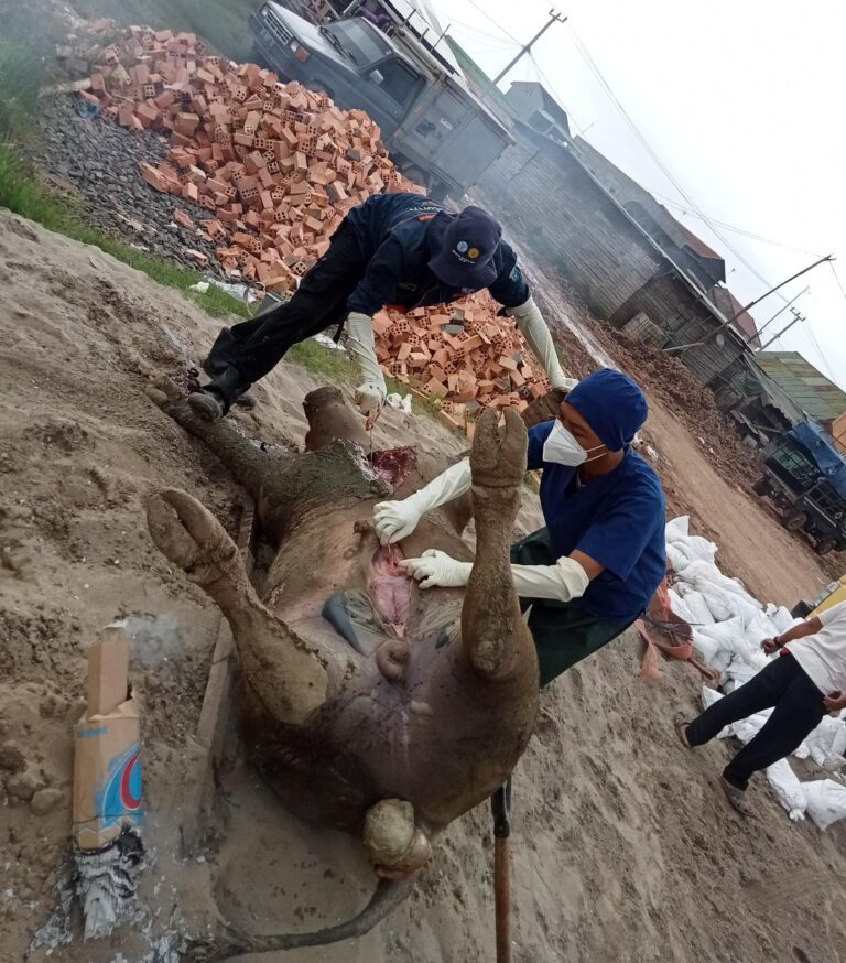 WhatsApp Image 2024-04-07 at 23.01.56