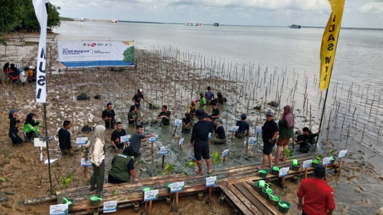 WhatsApp Image 2024-04-26 at 18.11.50