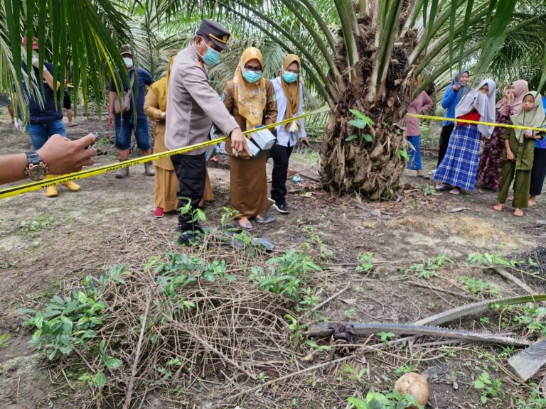 WhatsApp Image 2024-05-06 at 00.12.38 (1)