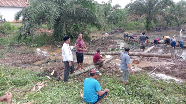 WhatsApp Image 2024-05-09 at 05.04.15 (2)