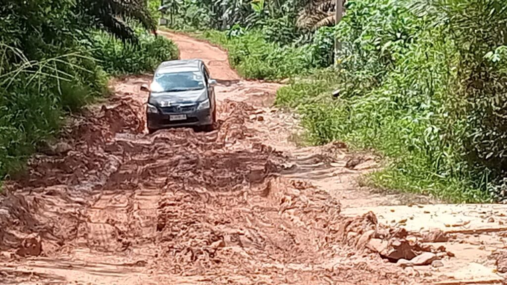 WhatsApp Image 2024-05-09 at 05.55.03