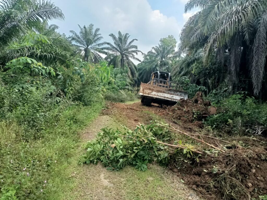 WhatsApp Image 2024-05-11 at 11.10.13