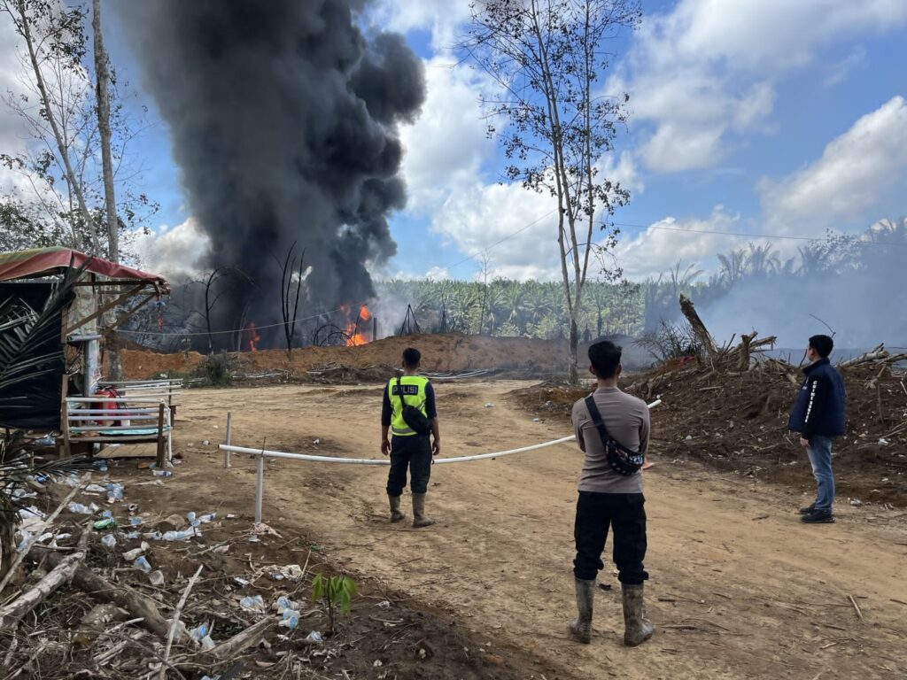 WhatsApp Image 2024-05-14 at 19.15.42