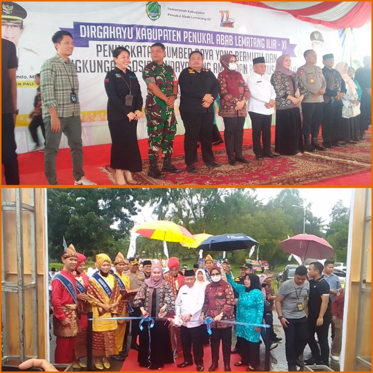 WhatsApp Image 2024-05-16 at 21.27.46