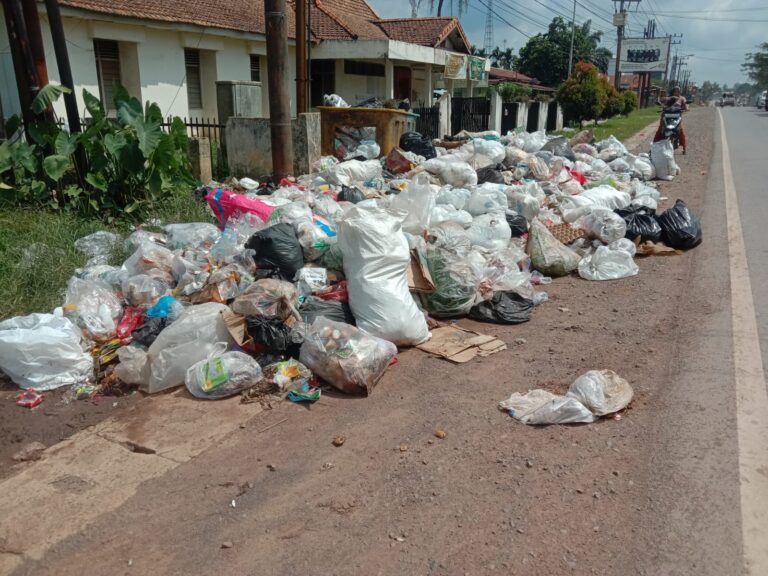 WhatsApp Image 2024-05-27 at 21.18.13