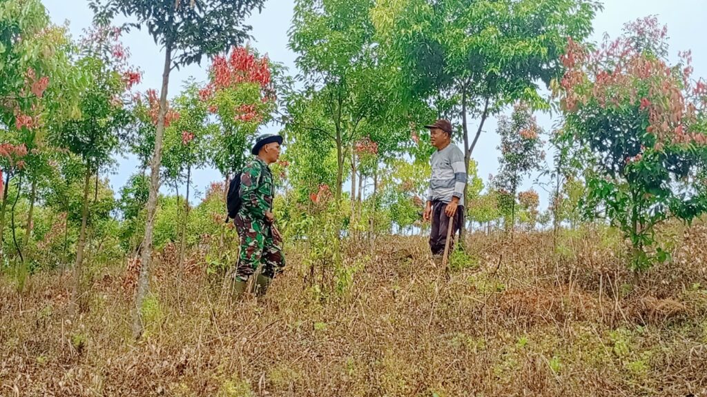 WhatsApp Image 2024-06-04 at 07.48.24