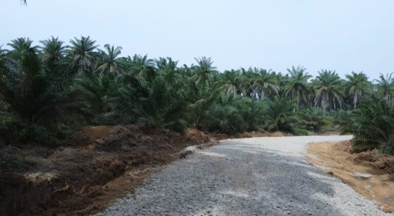 WhatsApp Image 2024-06-05 at 11.42.35