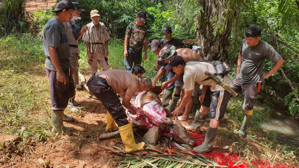 WhatsApp Image 2024-06-05 at 14.25.46