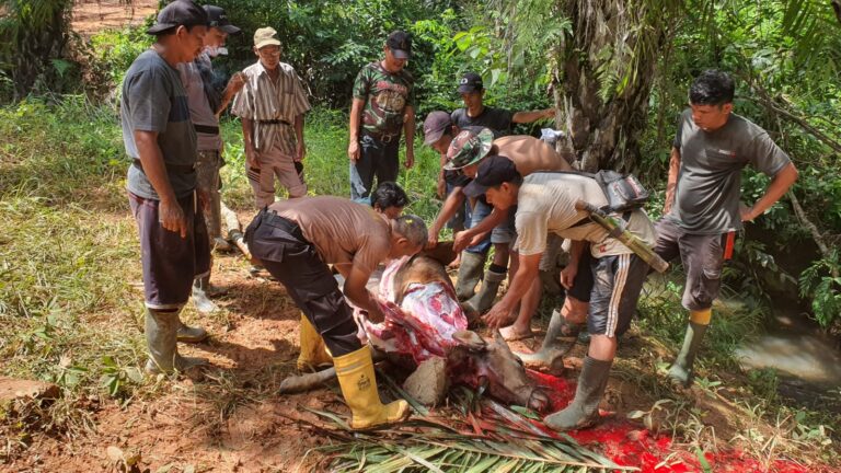 WhatsApp Image 2024-06-05 at 14.25.46