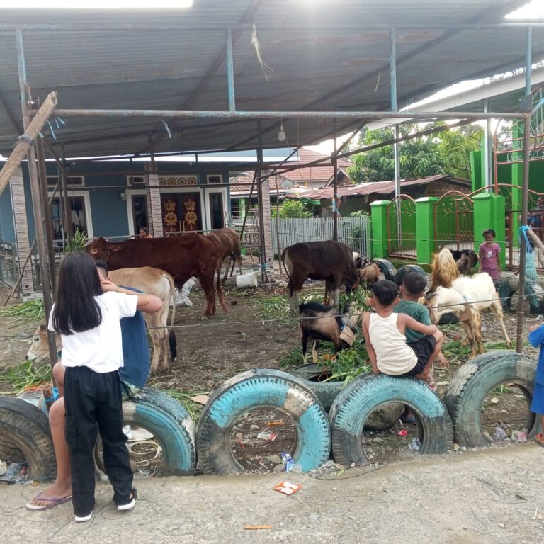 WhatsApp Image 2024-06-16 at 03.21.18