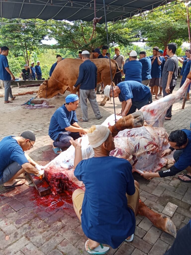 WhatsApp Image 2024-06-17 at 10.07.39