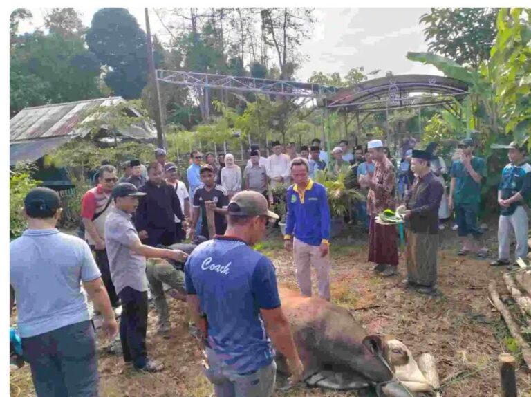 WhatsApp Image 2024-06-18 at 18.03.16